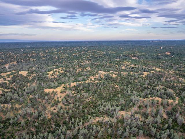Land for sale in Red Bluff, California