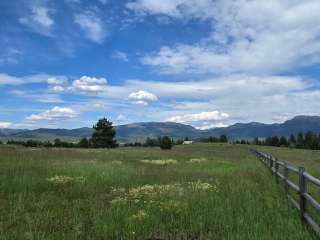 Land for sale in McCall, Valley County