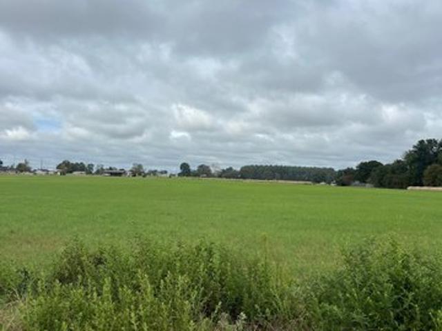 Land for sale in Smith, Texas