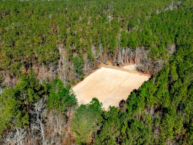 Land for sale in Millen, Georgia