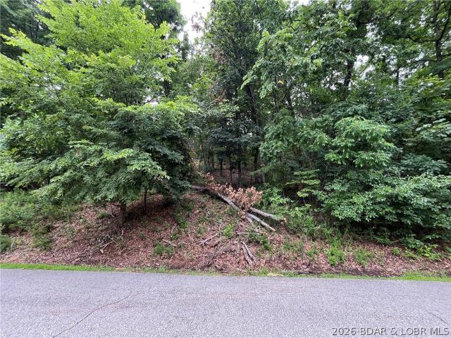 Land for sale in Sunrise Beach, Missouri