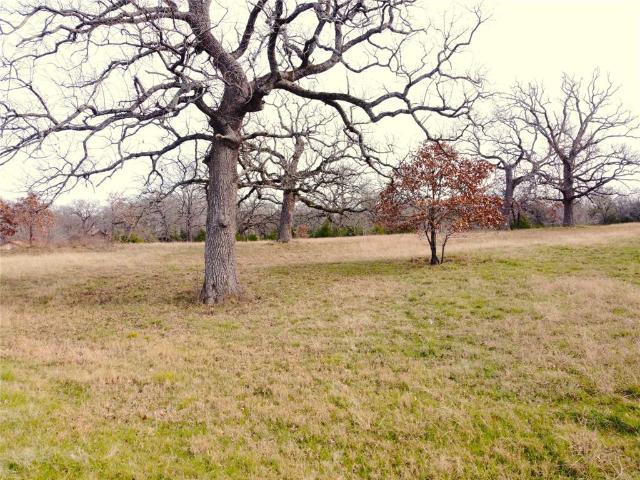 Land for sale in Navarro, Texas