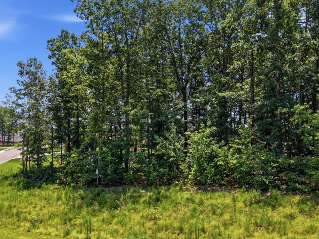 Land for sale in Signal Mountain, East Tennessee