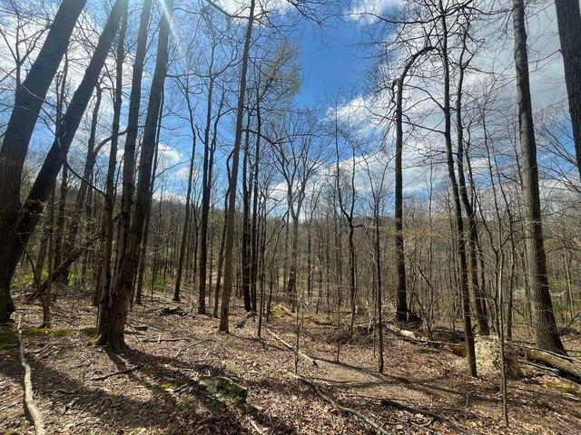 Land for sale in Newark, Ohio