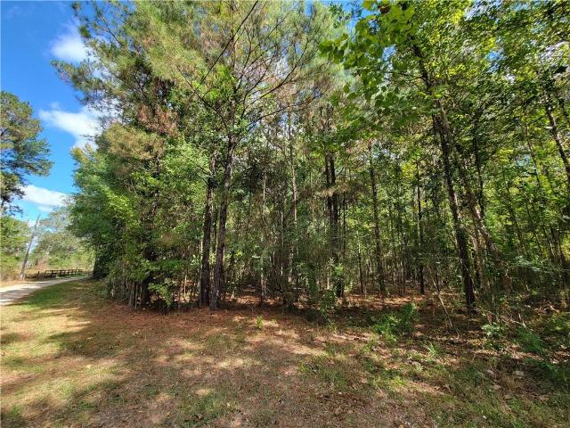 Land for sale in Franklinton, Louisiana