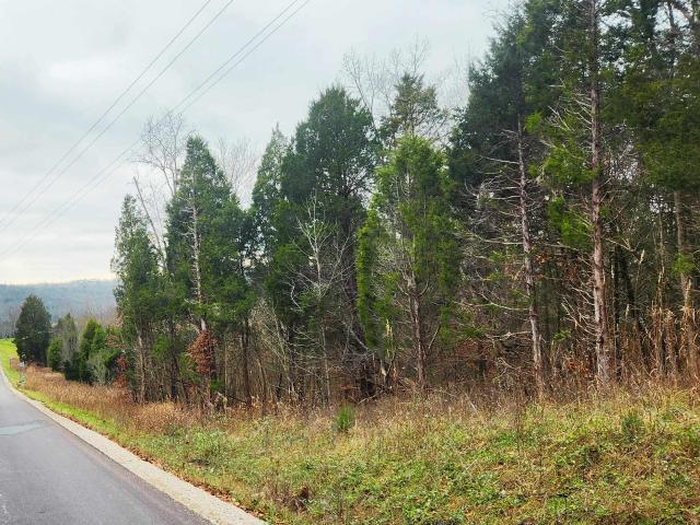 Land for sale in Leopold, Indiana