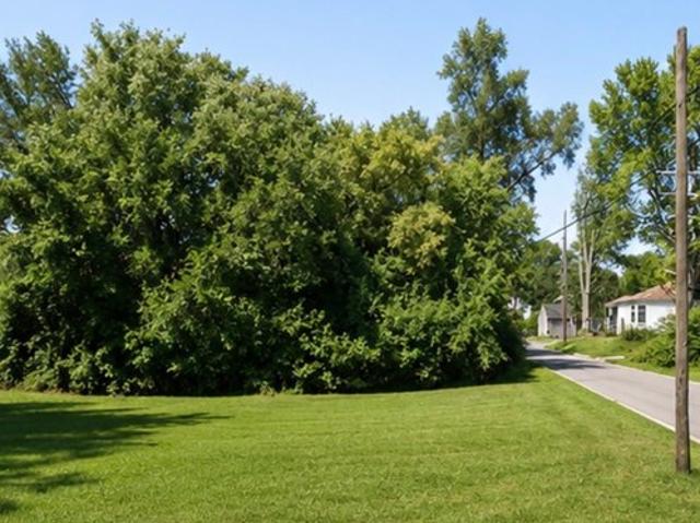 Land for sale in Detroit, Michigan