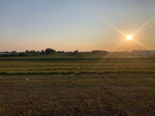 Land for sale in Day, South Dakota