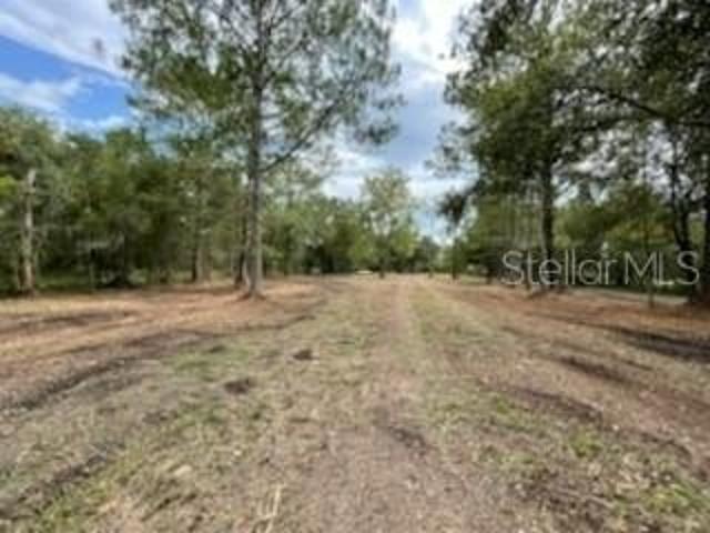 Land for sale in Kathleen, Florida