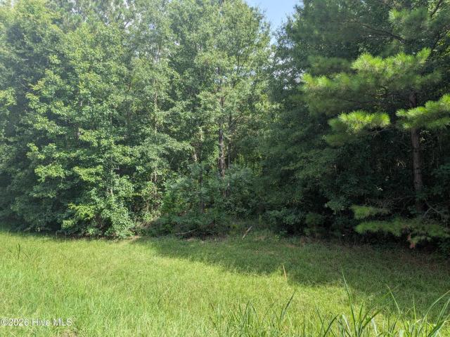 Land for sale in Appling, Georgia