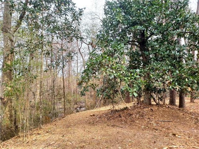 Land for sale in Ponchatoula, Louisiana