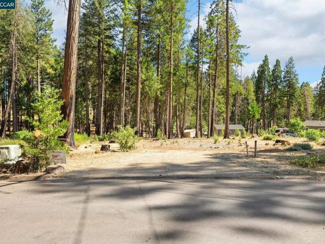 Land for sale in Butte, California
