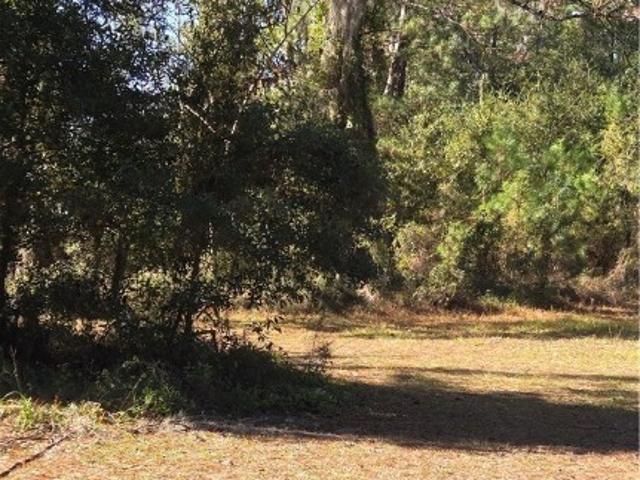 Land for sale in Darien, Georgia