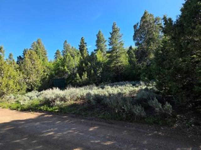 Land for sale in Springdale, Utah