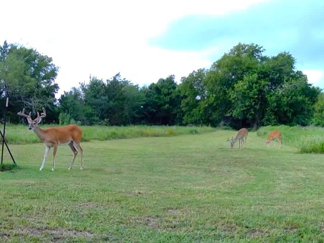 House for sale in Limestone, Texas