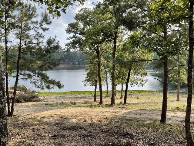 Land for sale in Leon, Texas