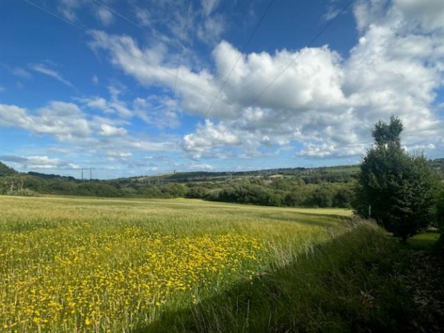 Property for sale in Cobh, South Tipperary
