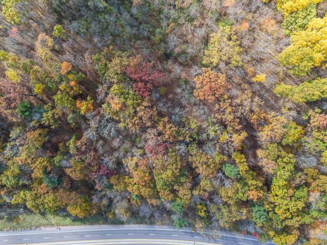 Land for sale in Wisconsin