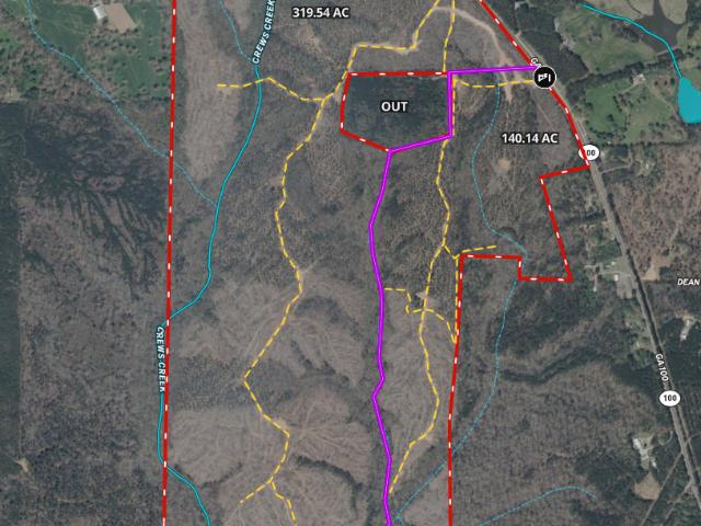 Land for sale in Franklin, Georgia