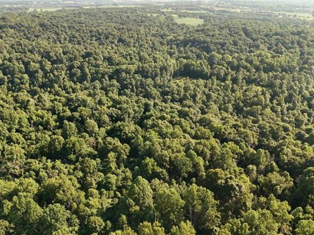 Land for sale in Bedford, Indiana
