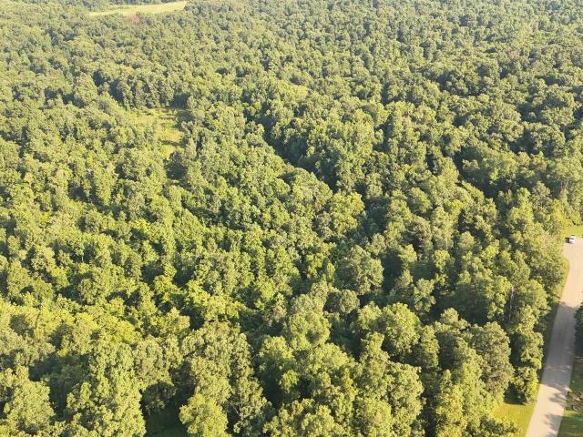 Land for sale in Bedford, Lawrence County