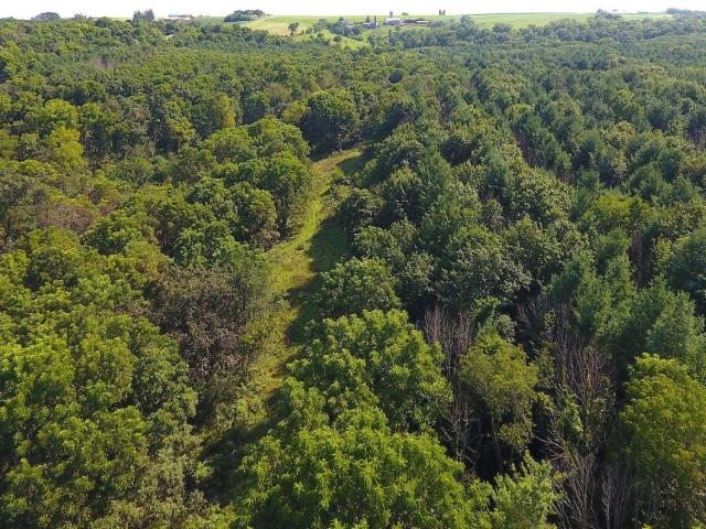 Land for sale in Wisconsin