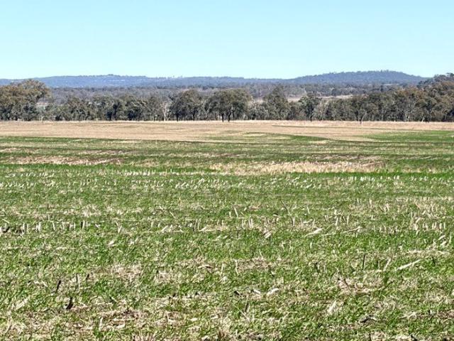 Cottage for sale in Wyreema, Queensland
