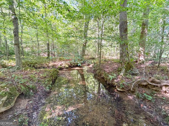 Land for sale in Poplar Springs, Buchanan