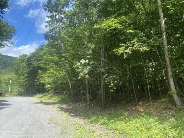 Land for sale in New York