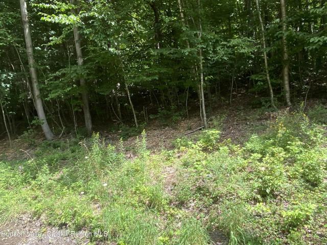 Land for sale in New York