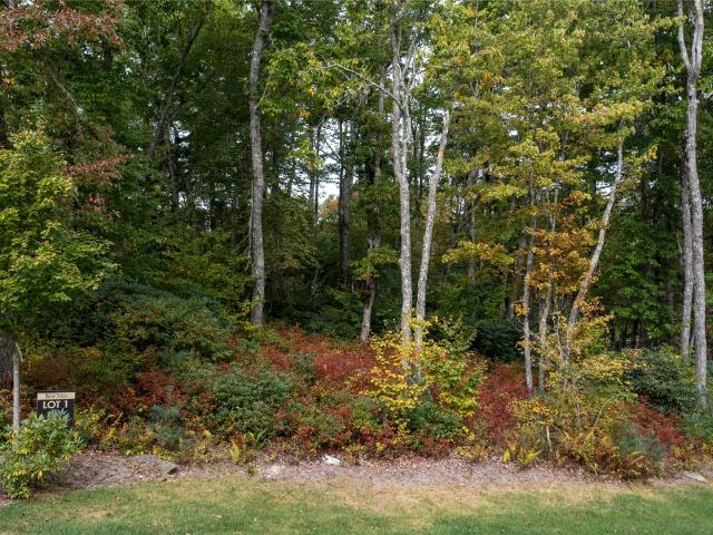 Land for sale in Highlands, Macon County