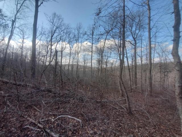 Land for sale in Ark