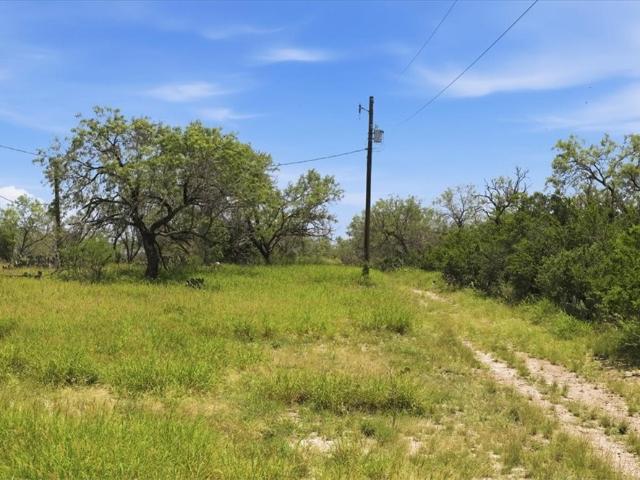 Land for sale in Three Rivers, Texas