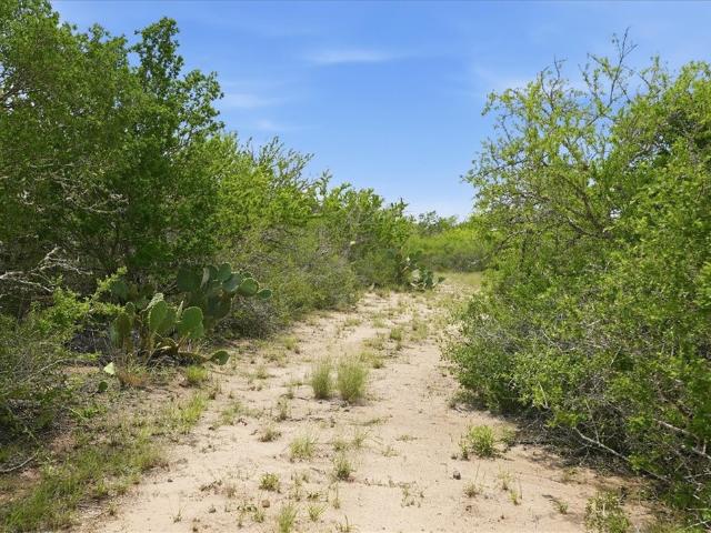 Land for sale in Three Rivers, Texas