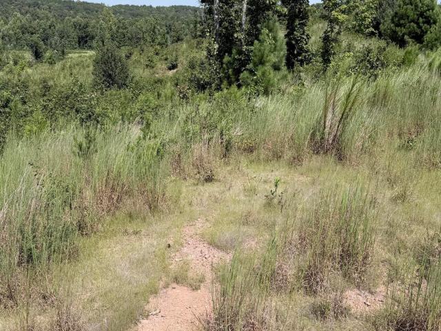 Land for sale in Tennessee