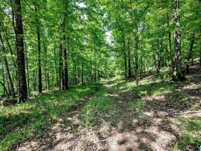 Land for sale in Pelham, Alabama