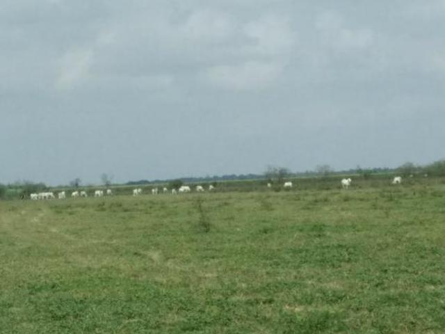 Rancho en venta en Pánuco, Veracruz