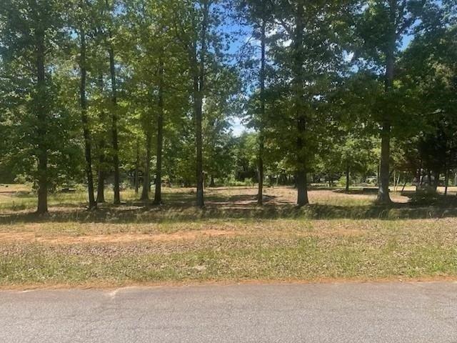 Land for sale in Campobello, South Carolina