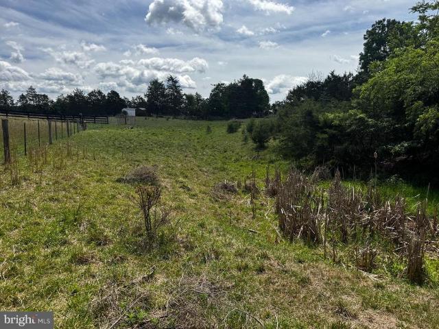 Land for sale in Tulip, Stephens City