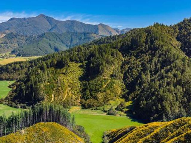 Property for sale in Okaramio, Marlborough District