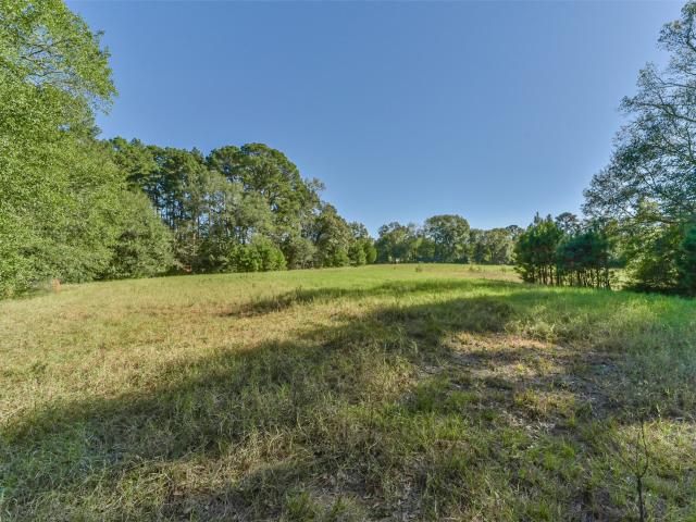 Land for sale in Walker, Texas