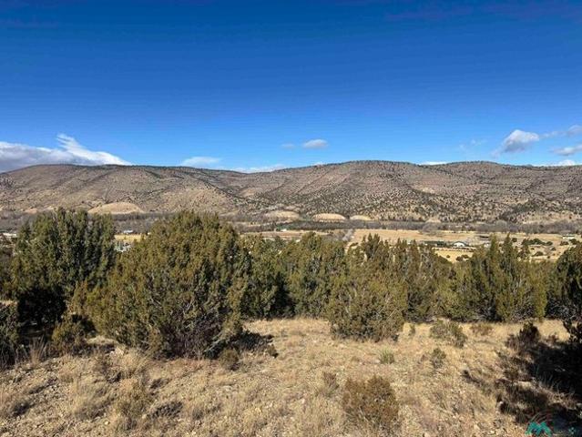 Land for sale in New Mexico