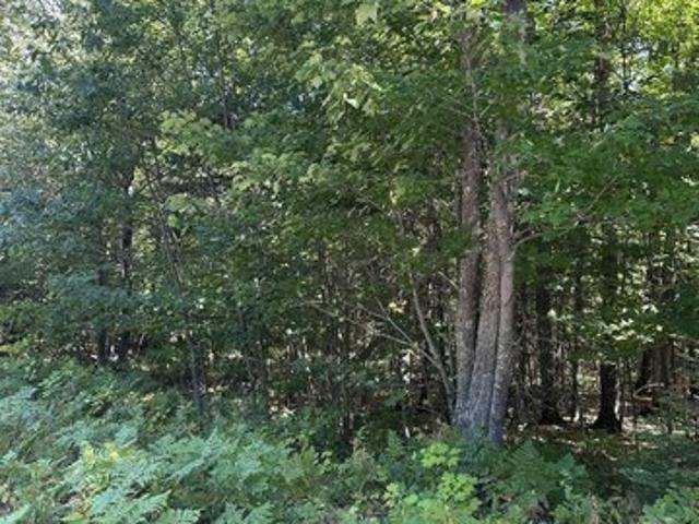 Land for sale in Marquette, Michigan
