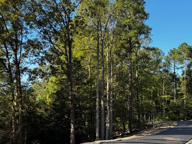 Land for sale in Chatham, North Carolina