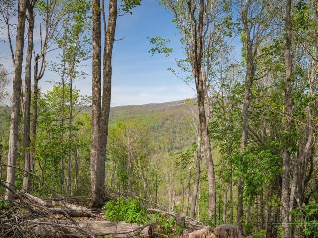 Land for sale in Avery, North Carolina