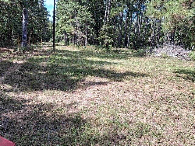 Land for sale in Call, Newton County