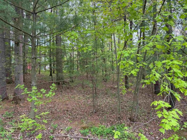 Land for sale in Lake Delton, Wisconsin