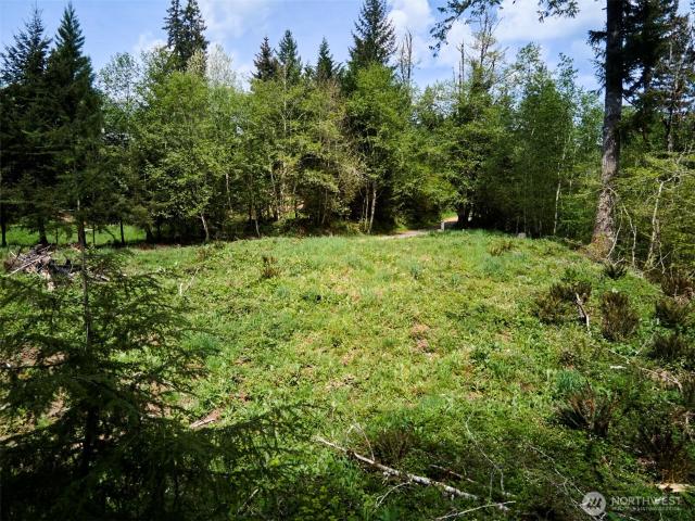 Land for sale in Woodland, Washington