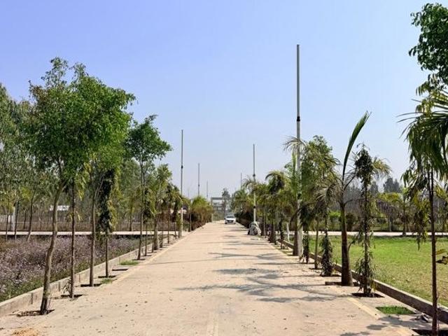 Land for sale in Kedarpur, Uttarakhand