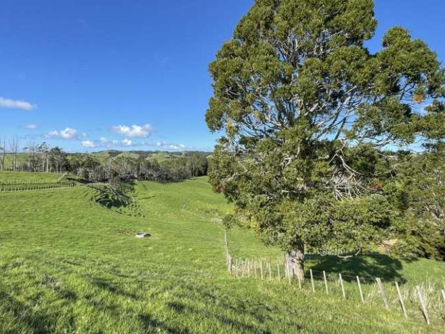 Property for sale in Kawau Island